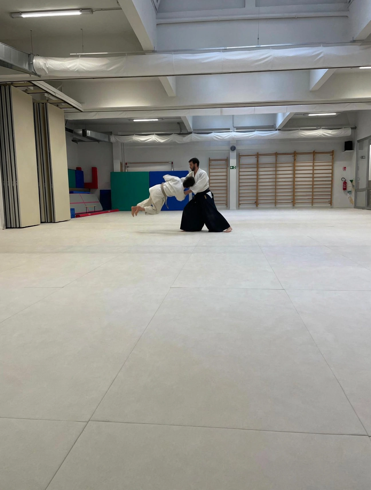 Aikido