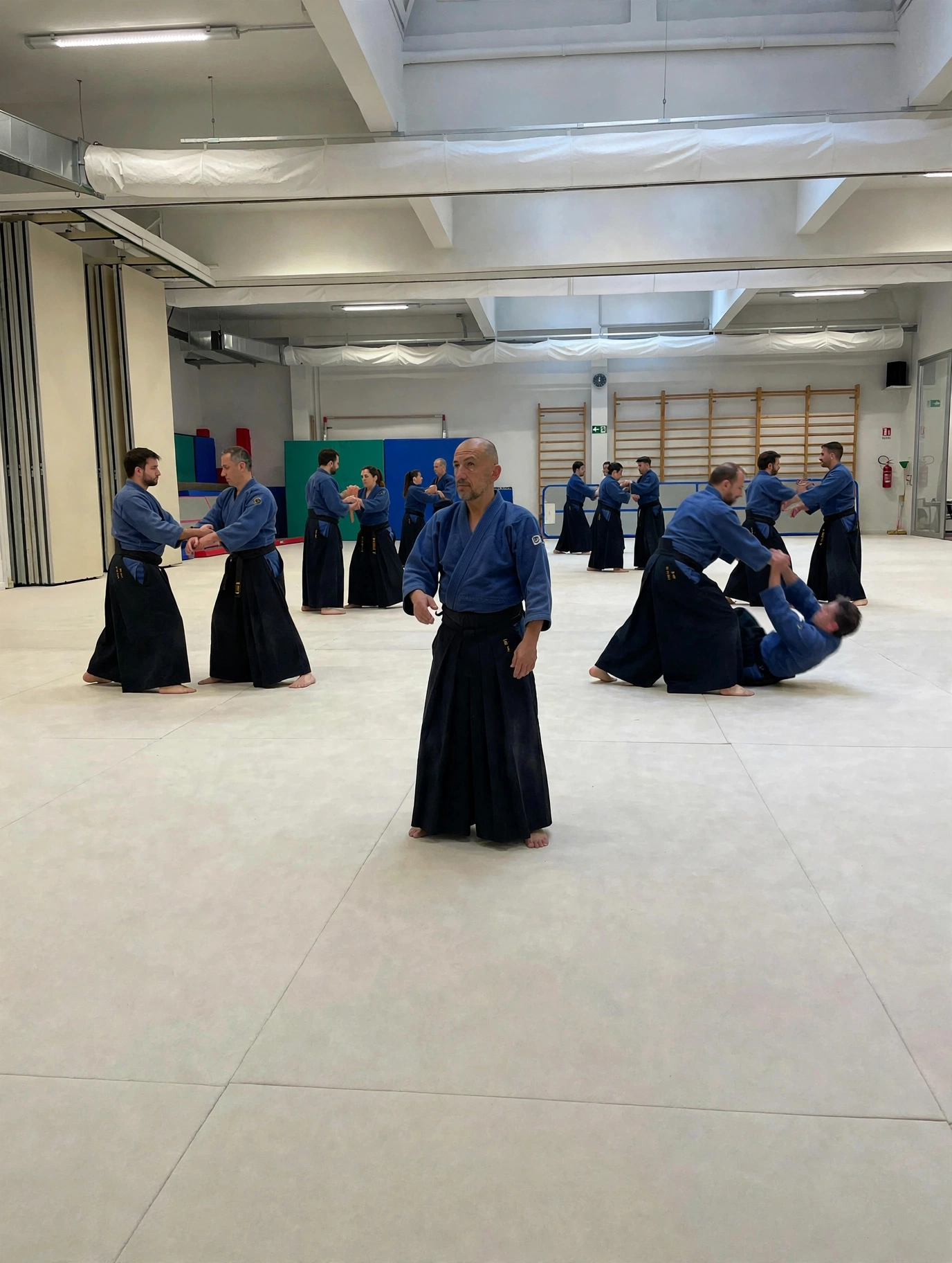 Aikibudo