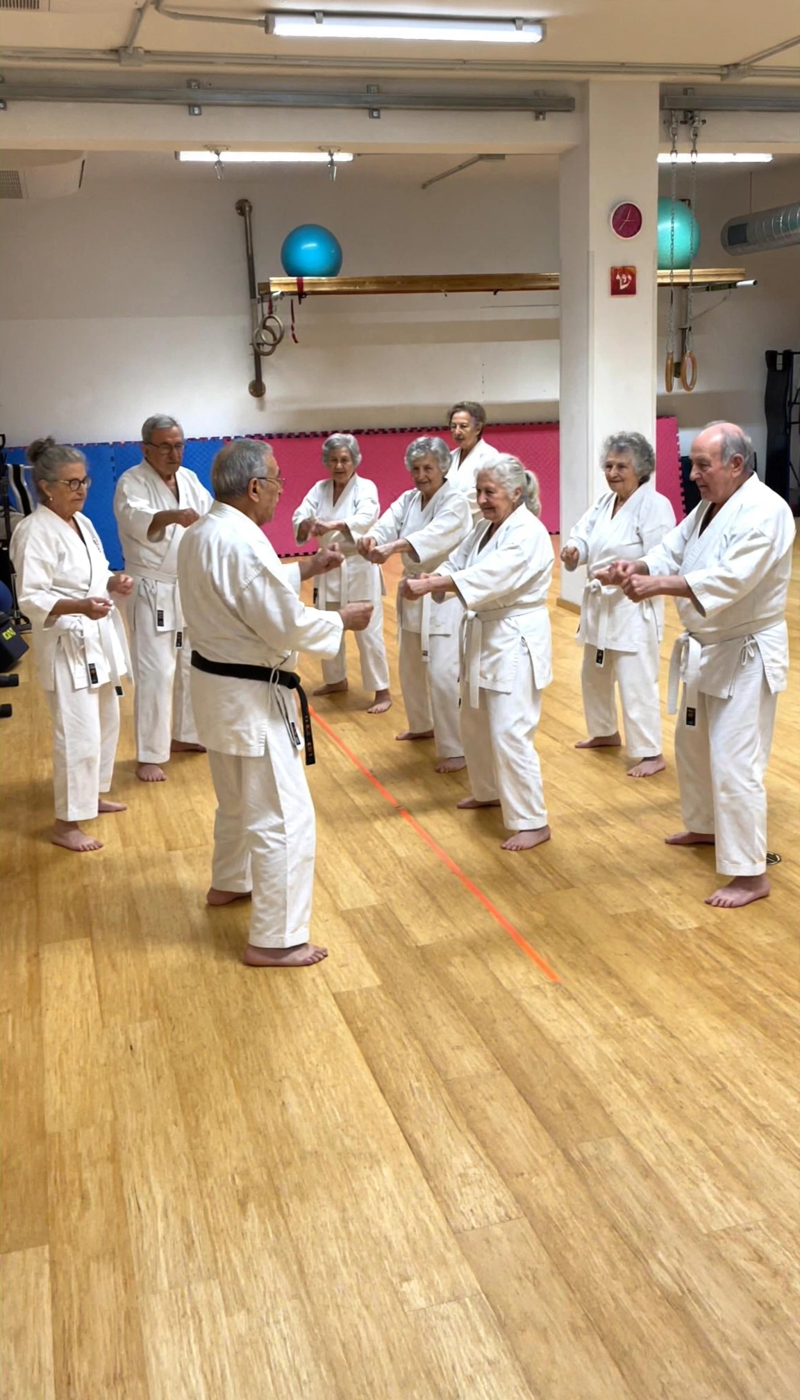 Karate terza eta / adulti